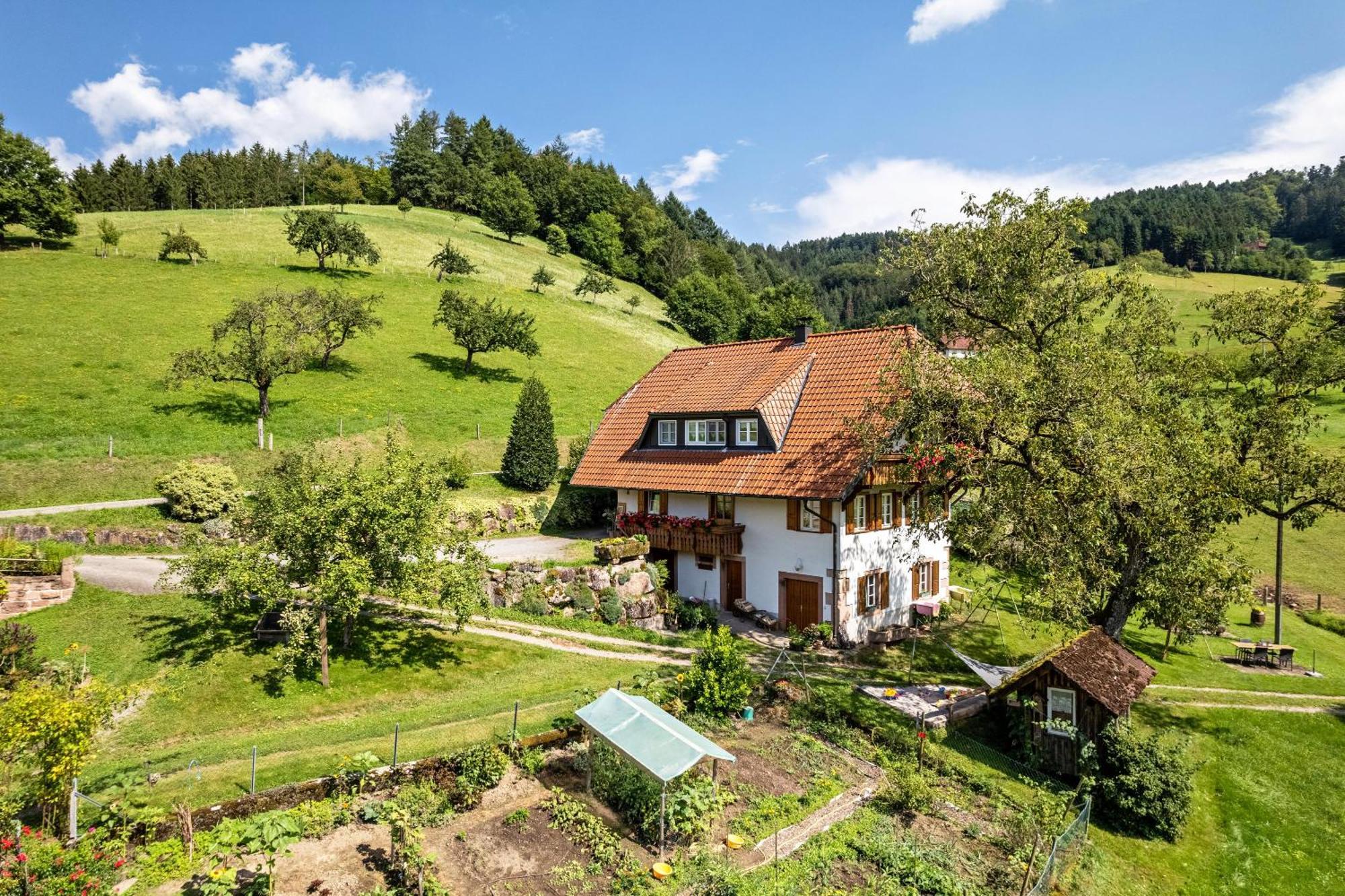 Ferienhaus Vollmer Nordrach Екстериор снимка